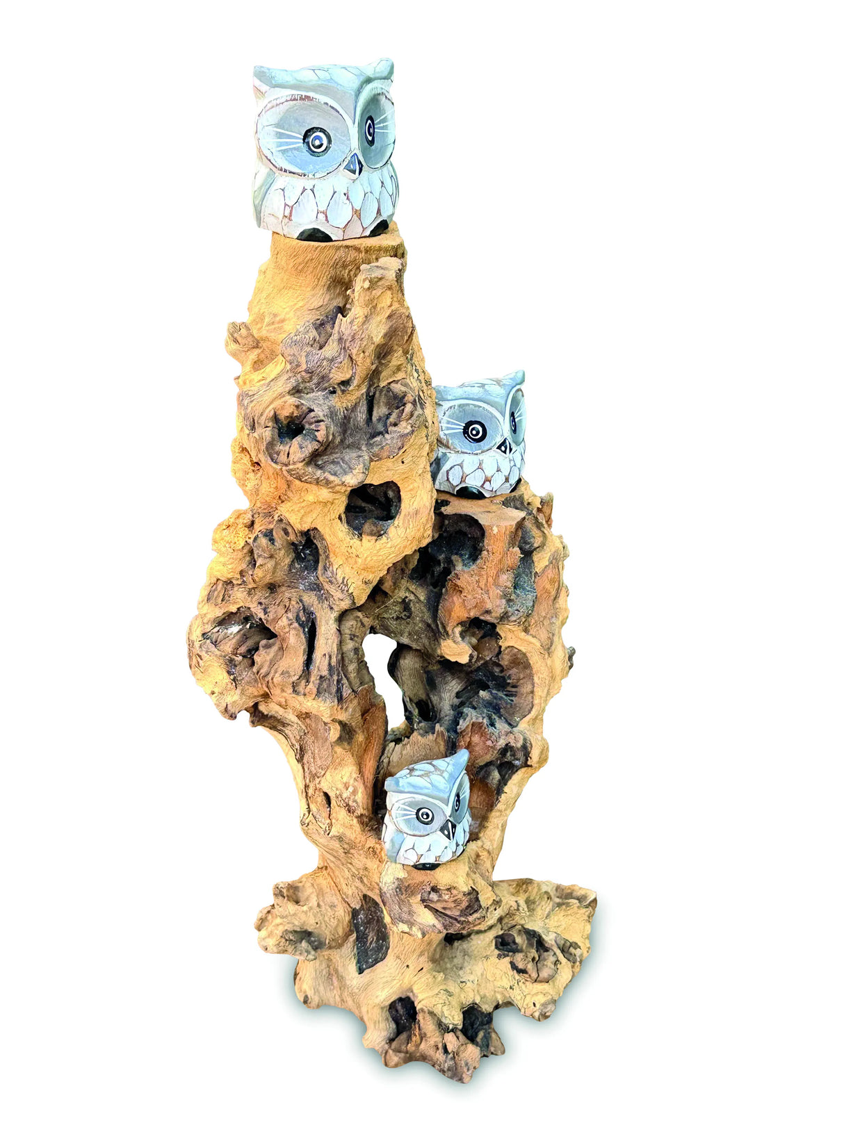 3 Baby Owls In A Tree