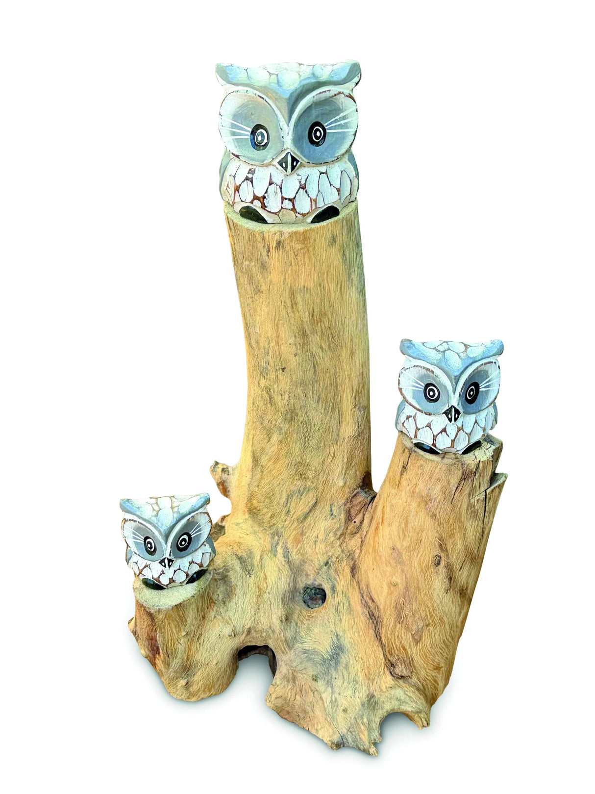 3 Baby Owls In A Tree