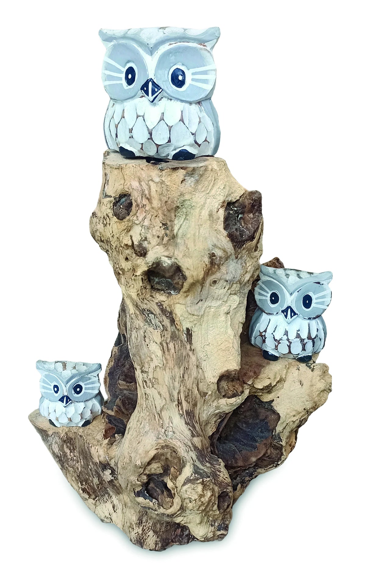 3 Baby Owls In A Tree