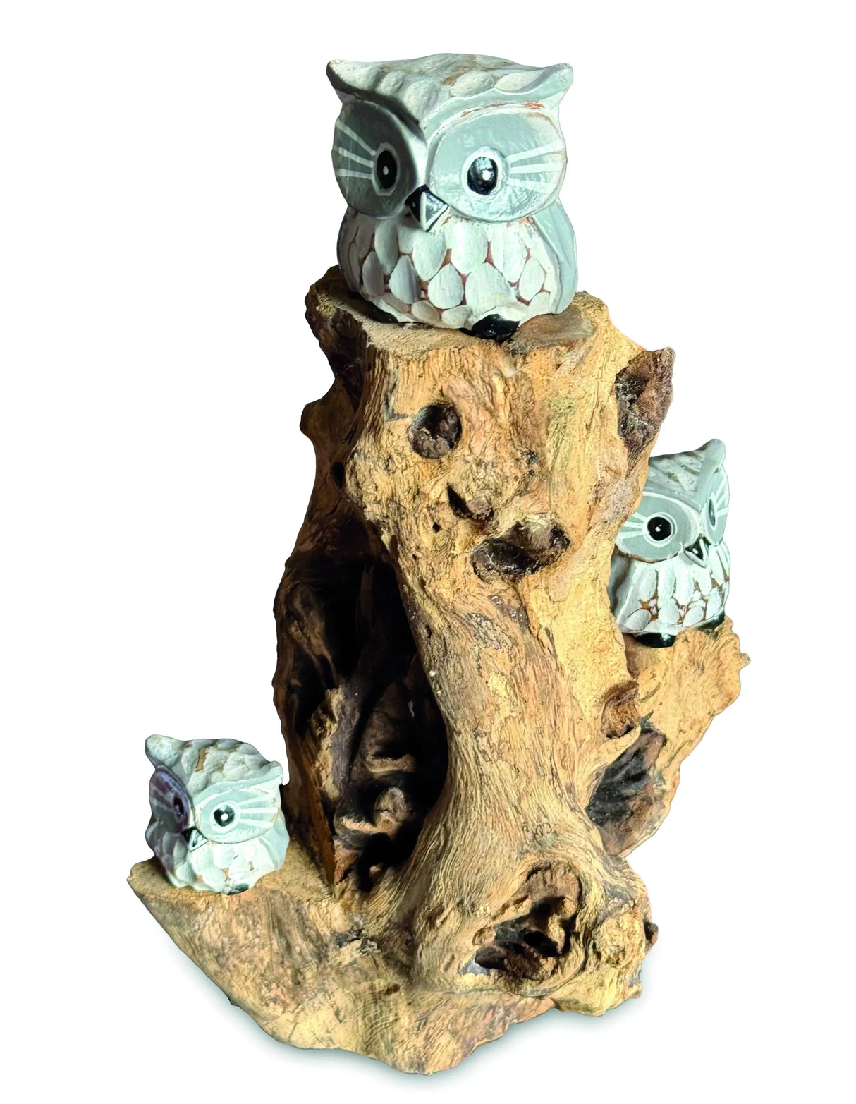 3 BABY OWLS IN A TREE