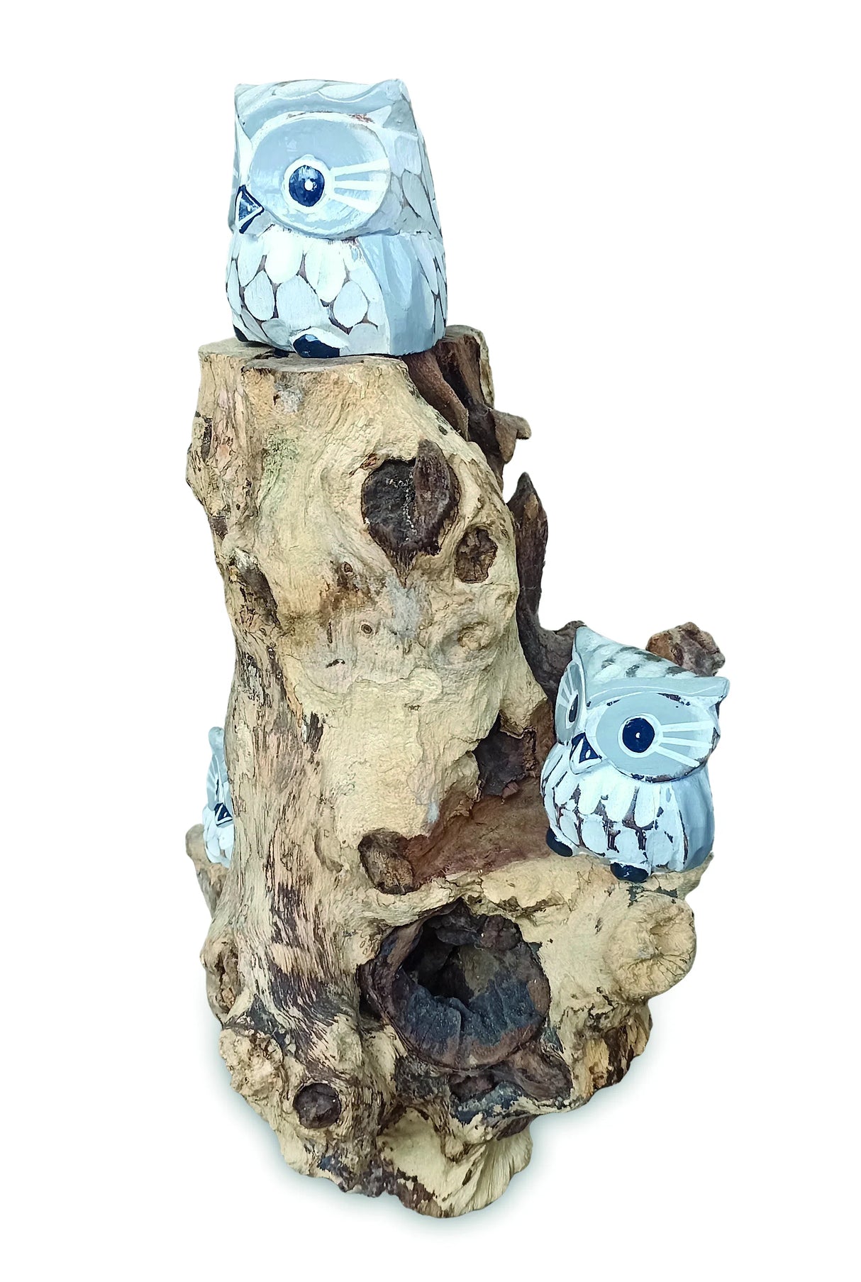 3 Baby Owls In A Tree