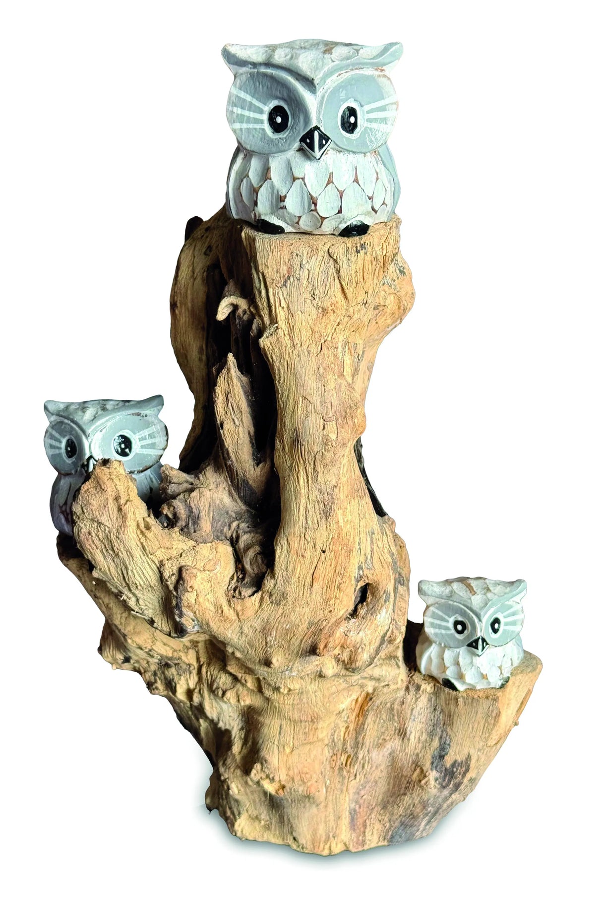 3 Baby Owls In A Tree