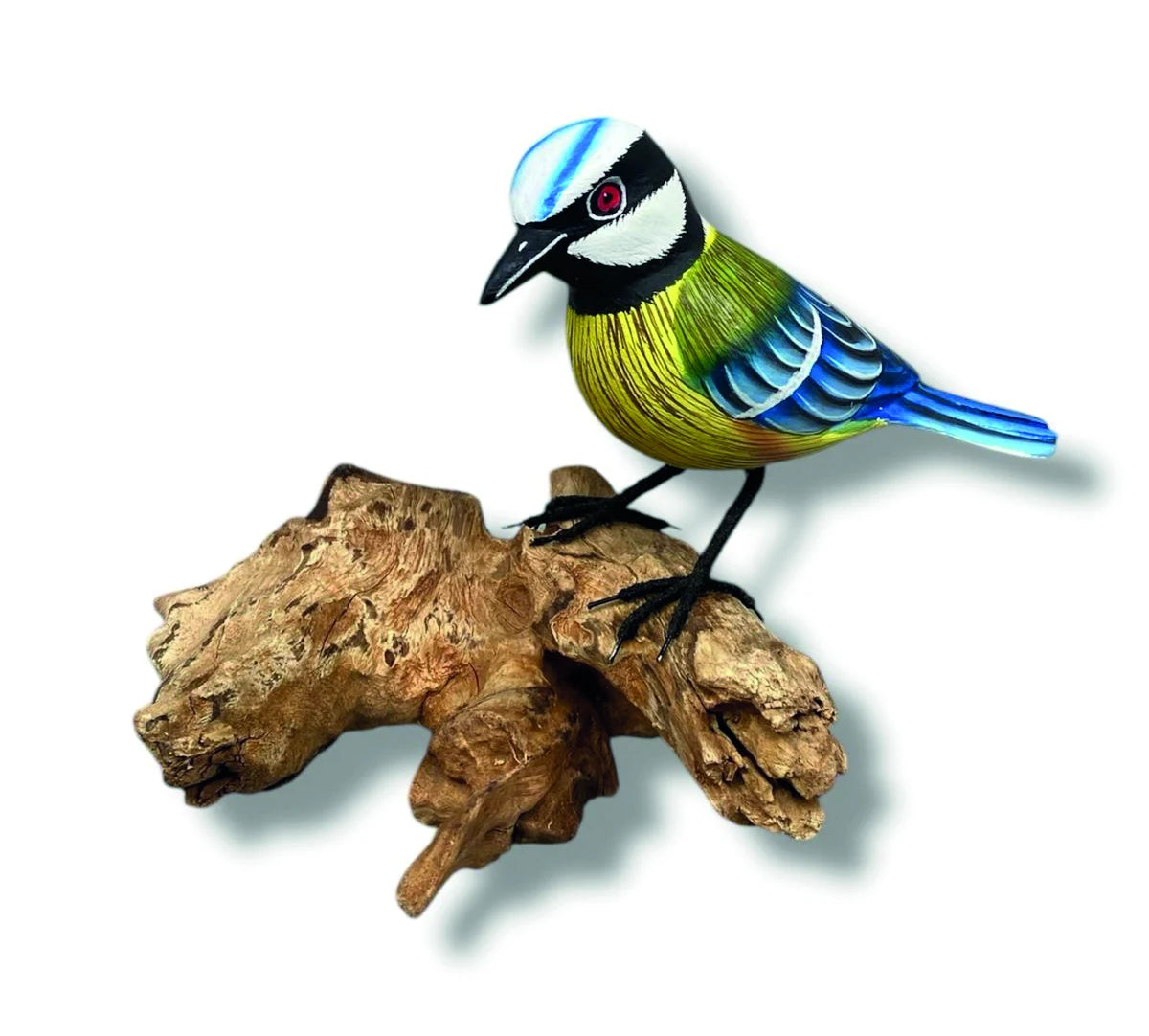 SINGLE BLUE TIT FORAGING