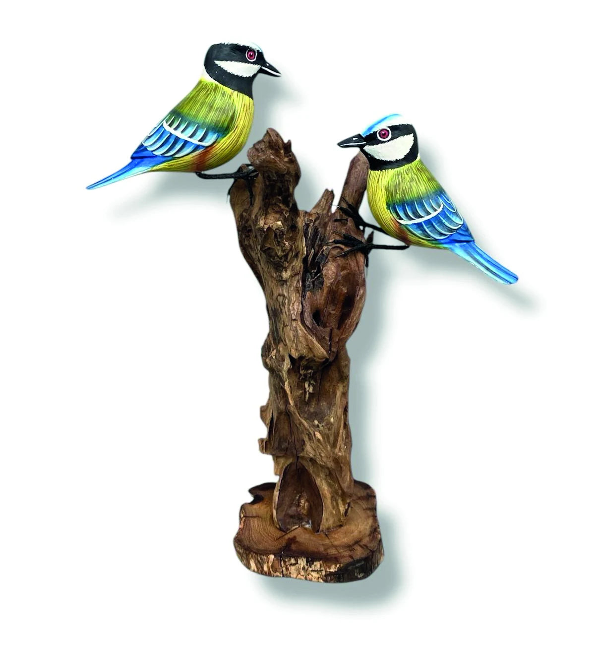 DOUBLE BLUE TIT FORAGING