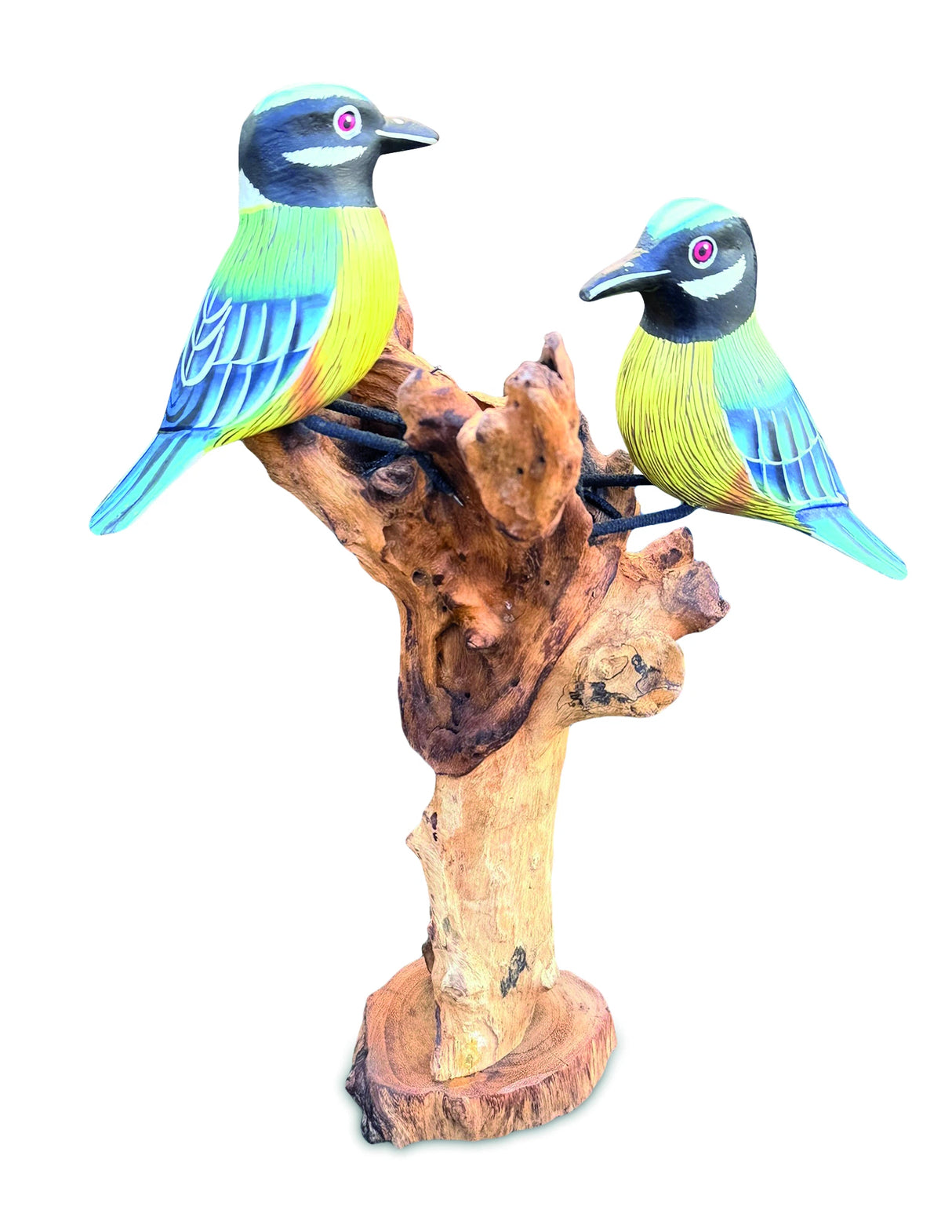 Double Blue Tit Foraging