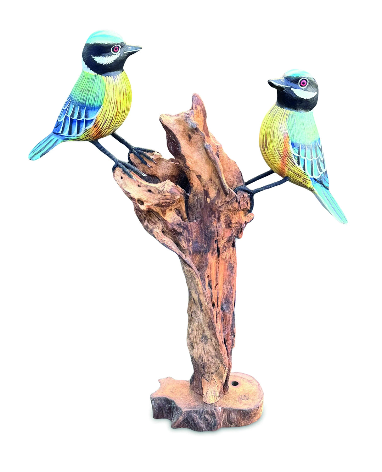 Double Blue Tit Foraging
