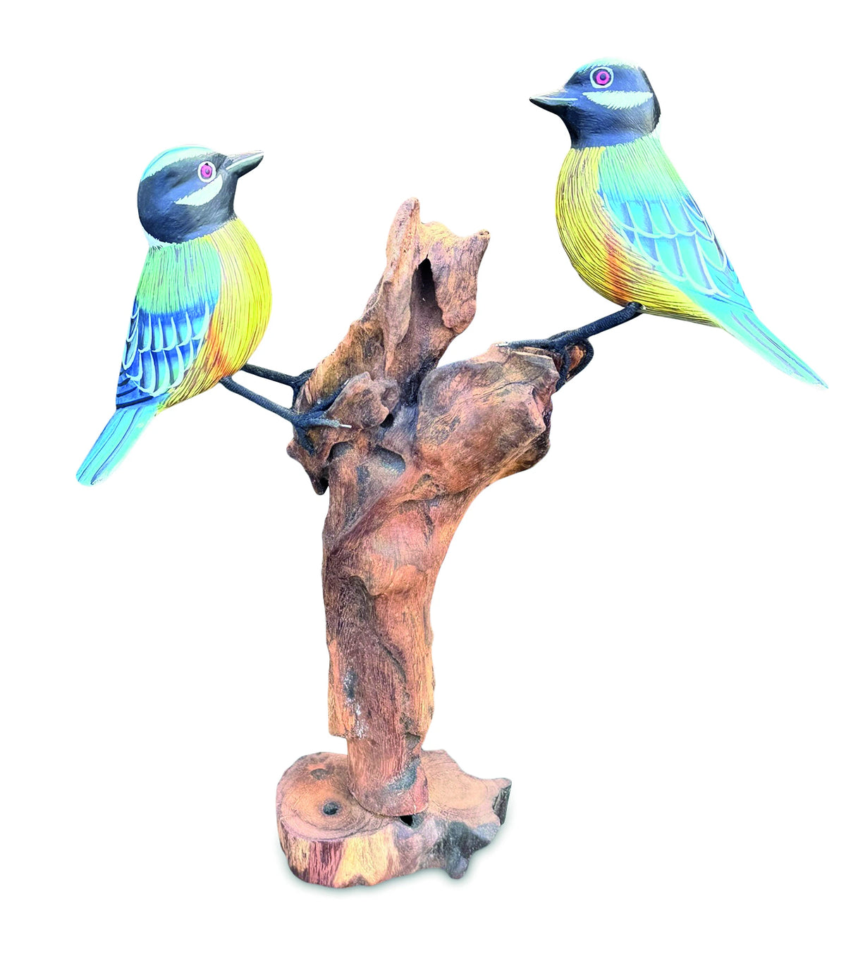 Double Blue Tit Foraging