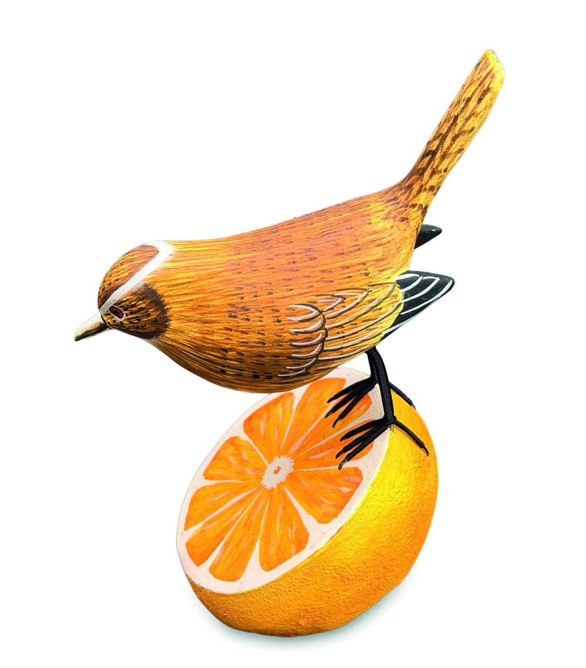 Wren Munching An Orange (Please Order In Multiples Of 2)