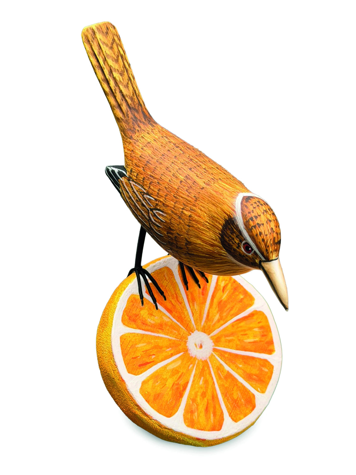 Wren Munching An Orange (Please Order In Multiples Of 2)