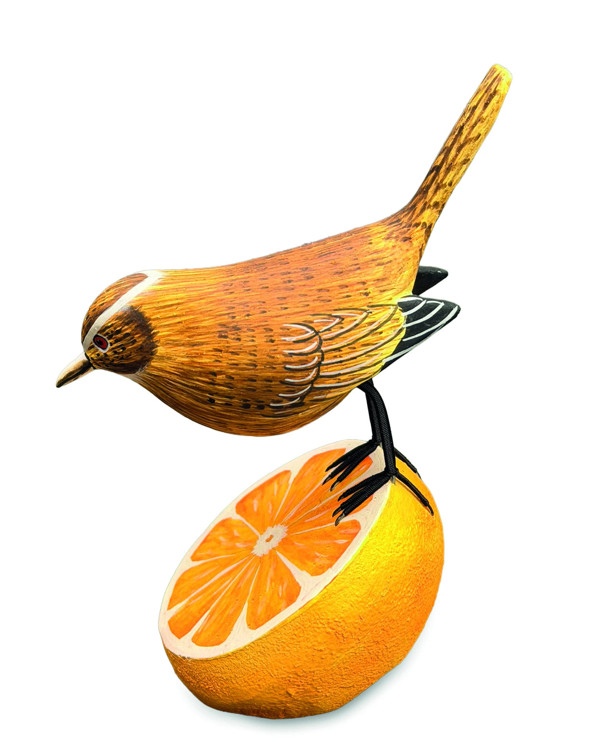 Wren Munching An Orange (Please Order In Multiples Of 2)