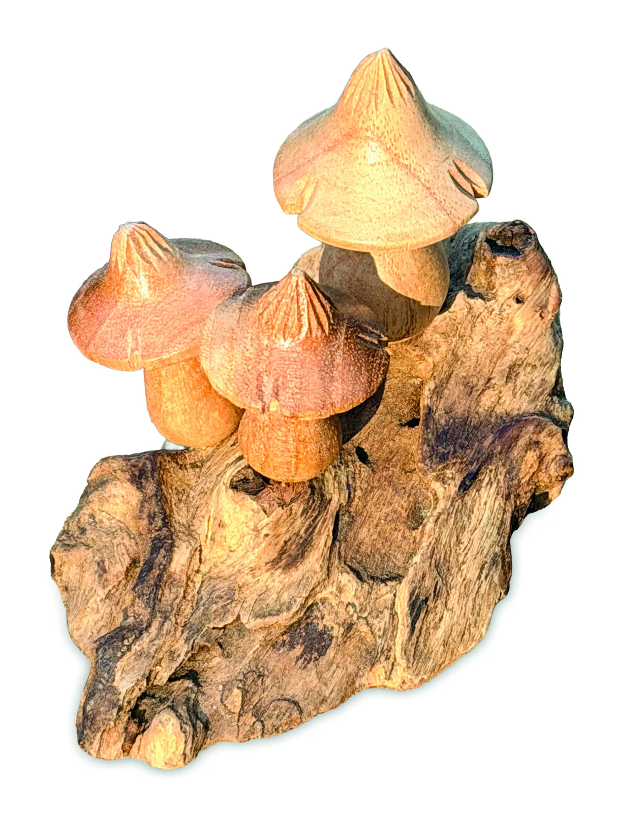Mystical Magic Bali Mushrooms 10cm
