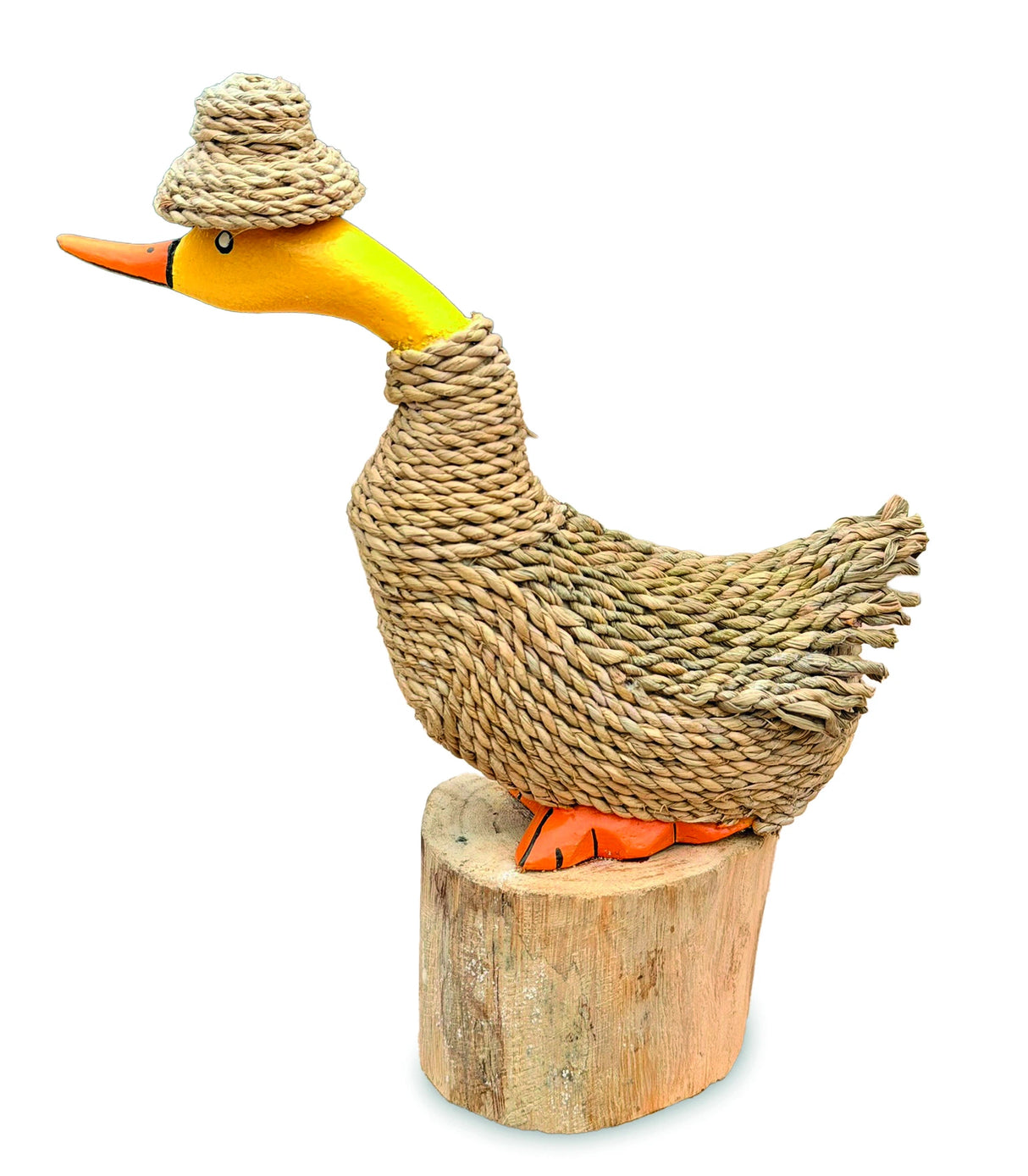 Duckleberry Finn 22cm