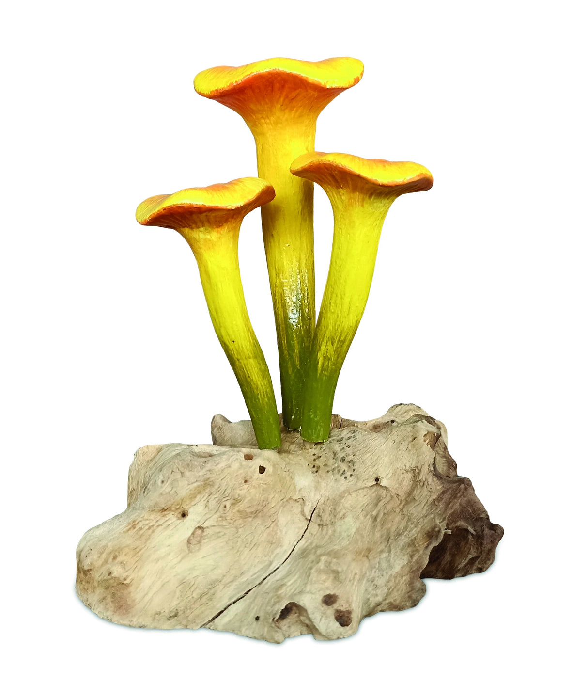 Chanterelle Triple Painted Mushroom