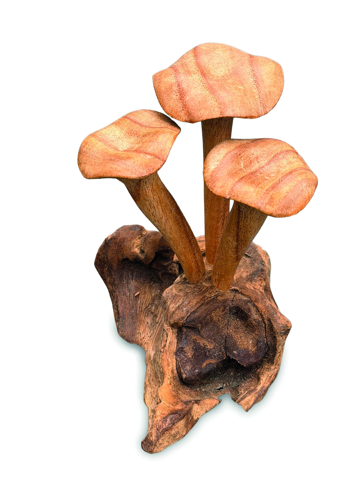 Foraged Trio Of Chanterelle Mushrooms