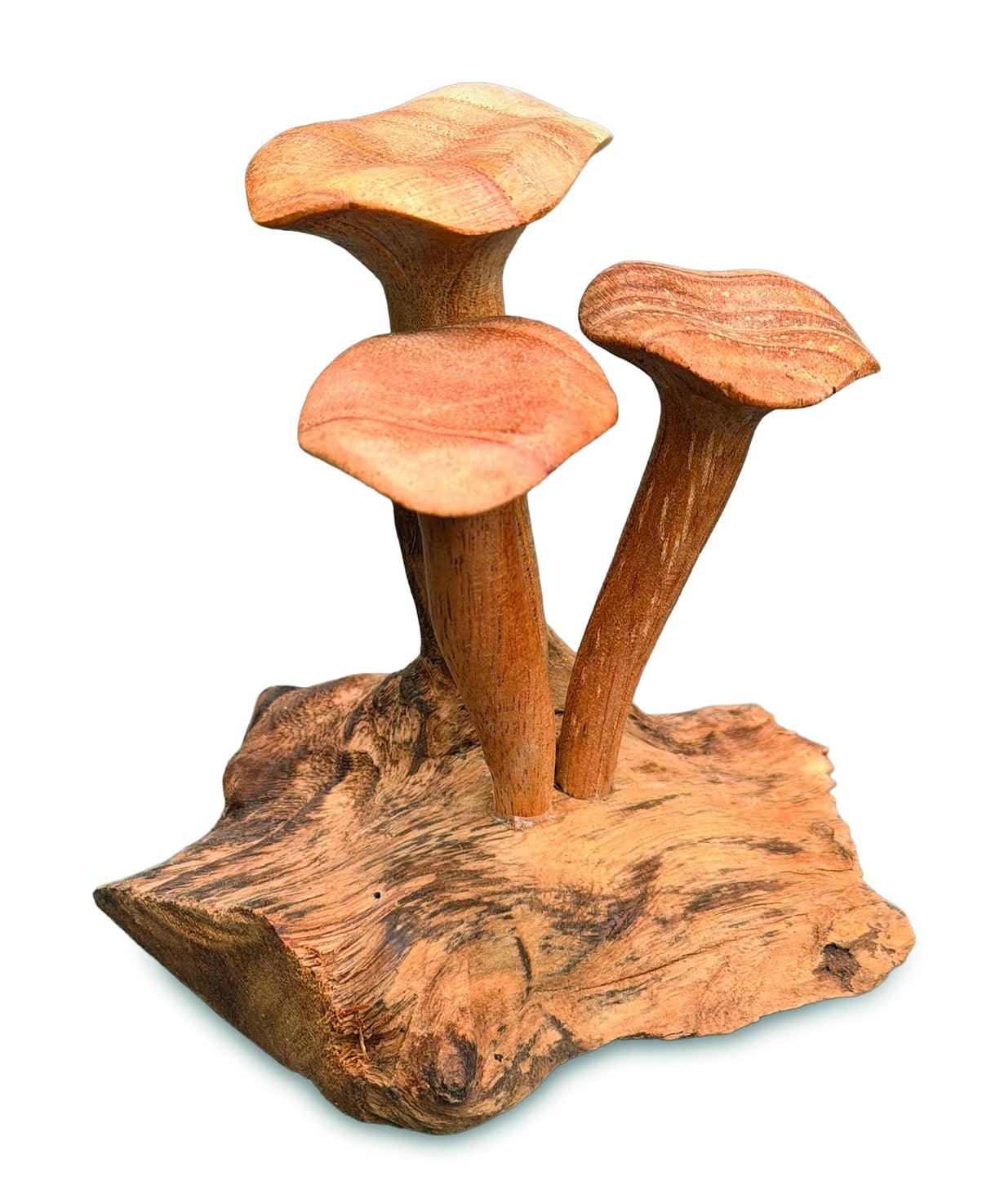 Foraged Trio Of Chanterelle Mushrooms