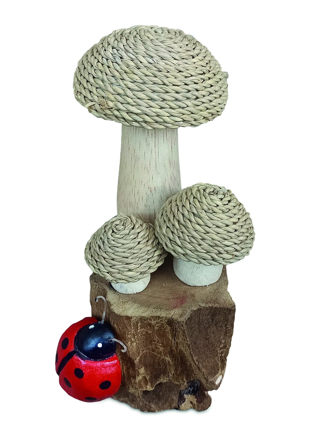 The Enchanted Ladybird 18cm
