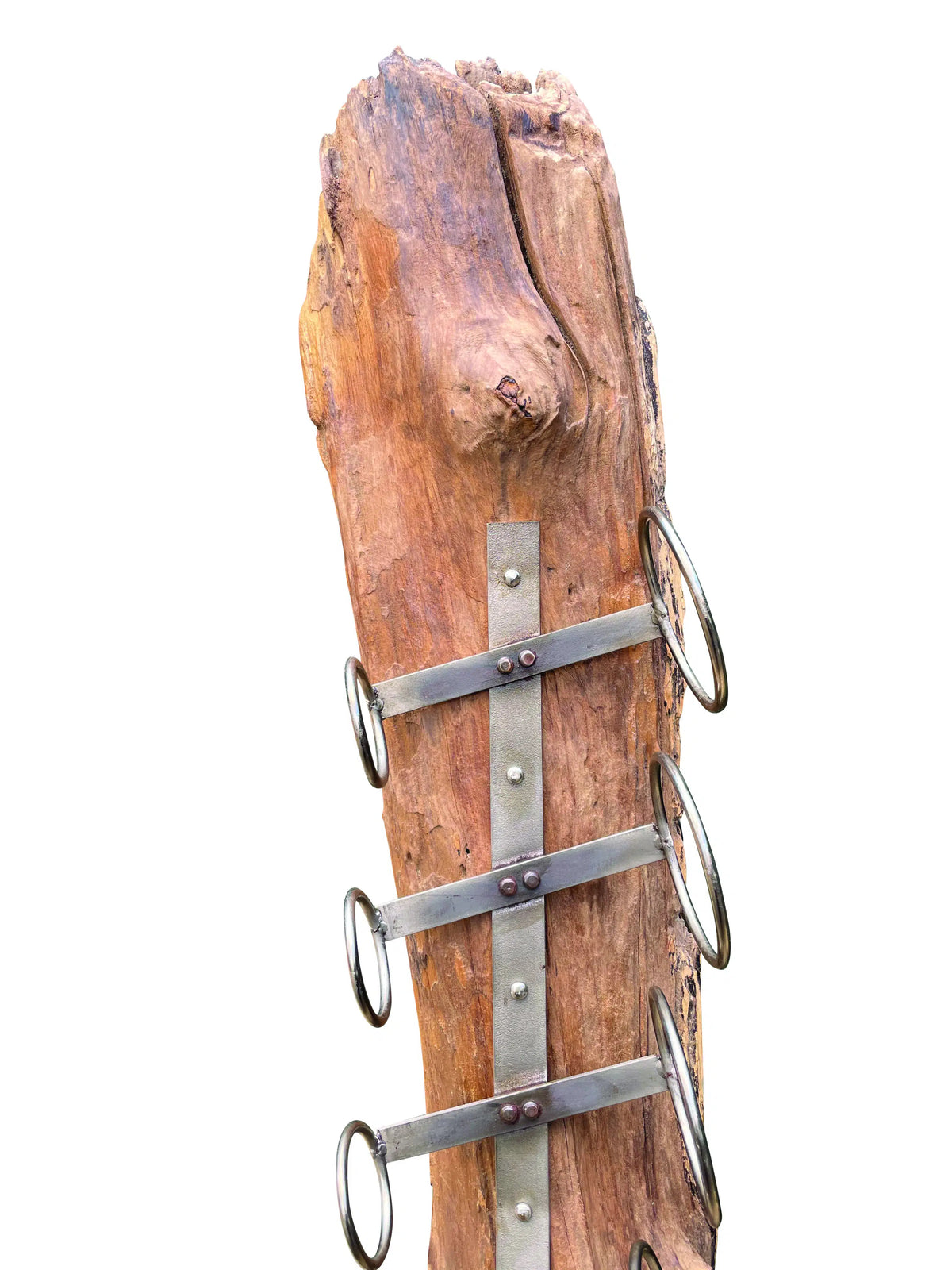 Root Sculpture Wine Holder 8 Hole
