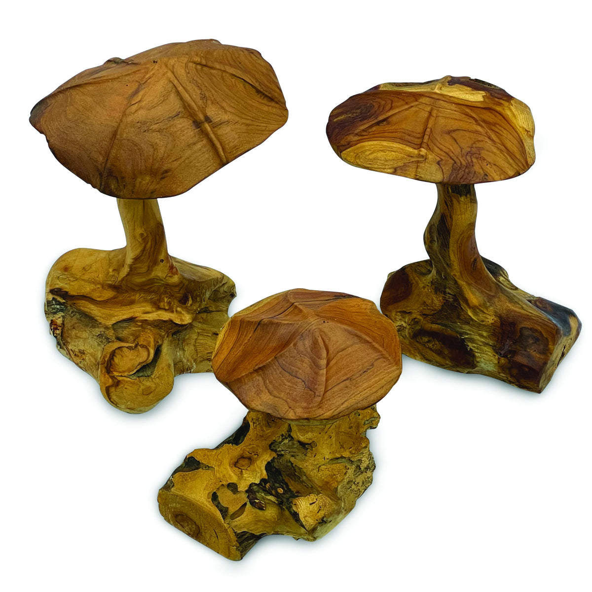 Root Wild Mushrooms - Set Of 3