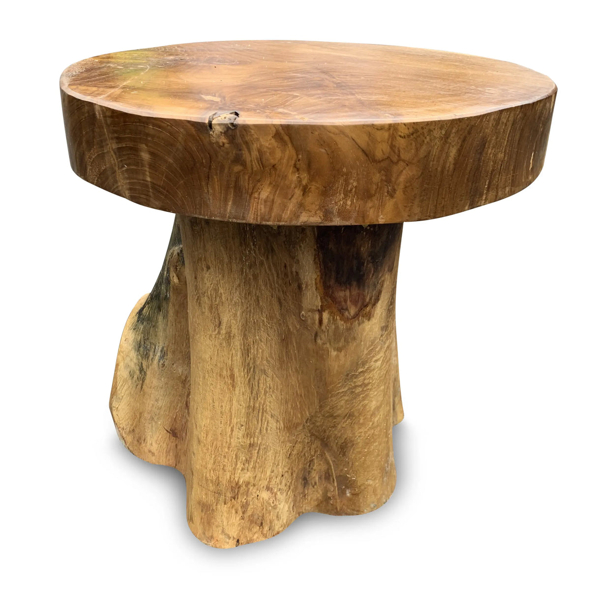 Root Mushroom Lamp Table