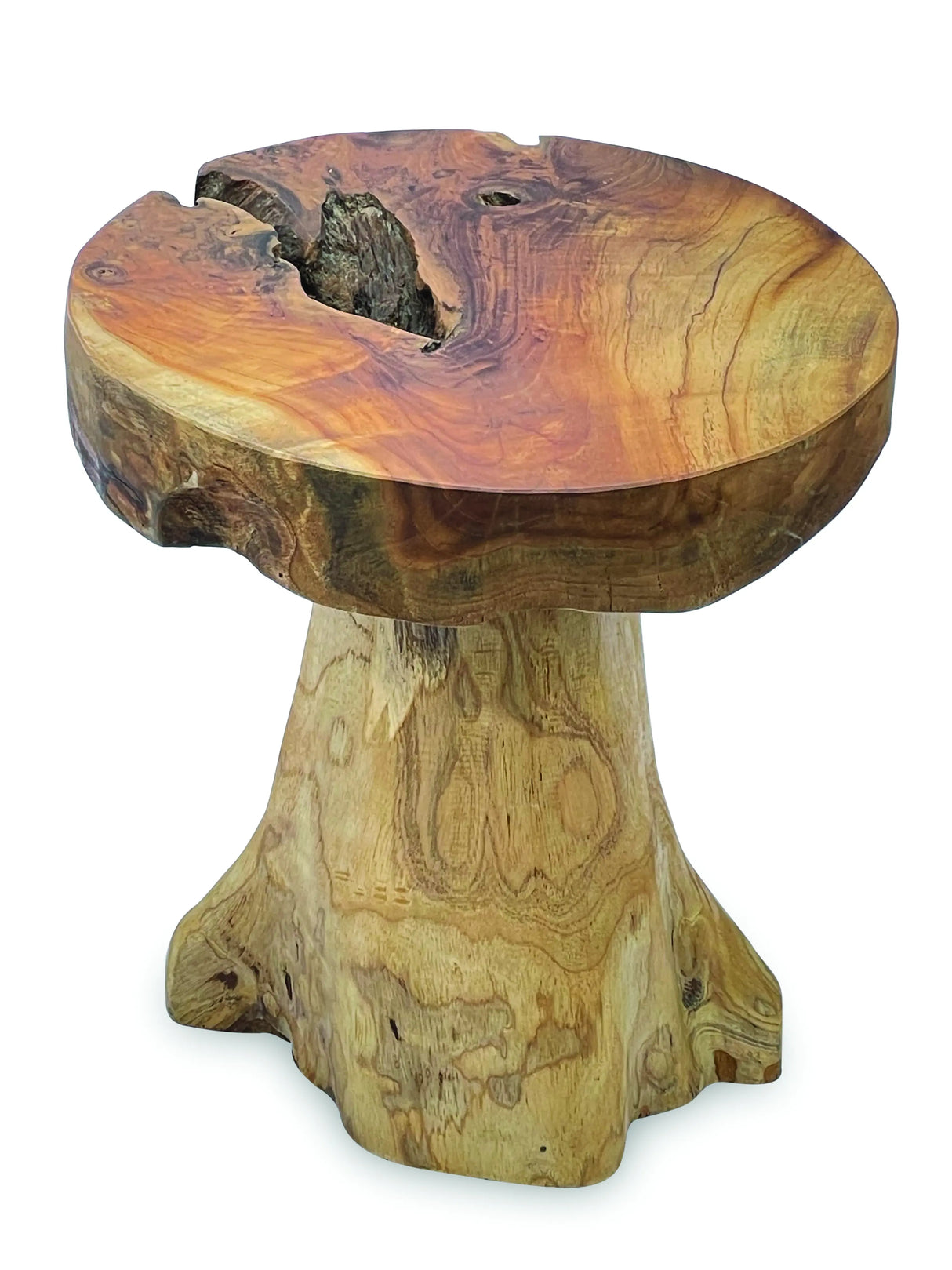Root Mushroom Lamp Table
