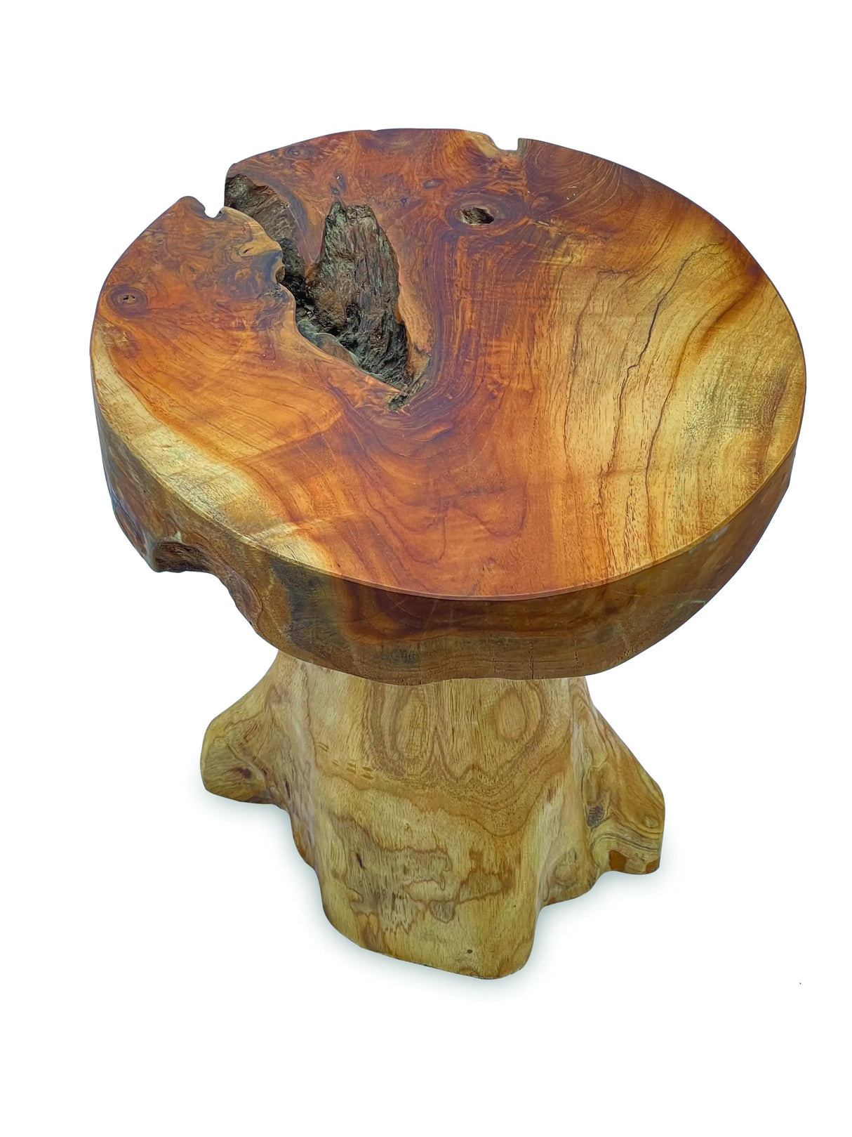 Root Mushroom Lamp Table