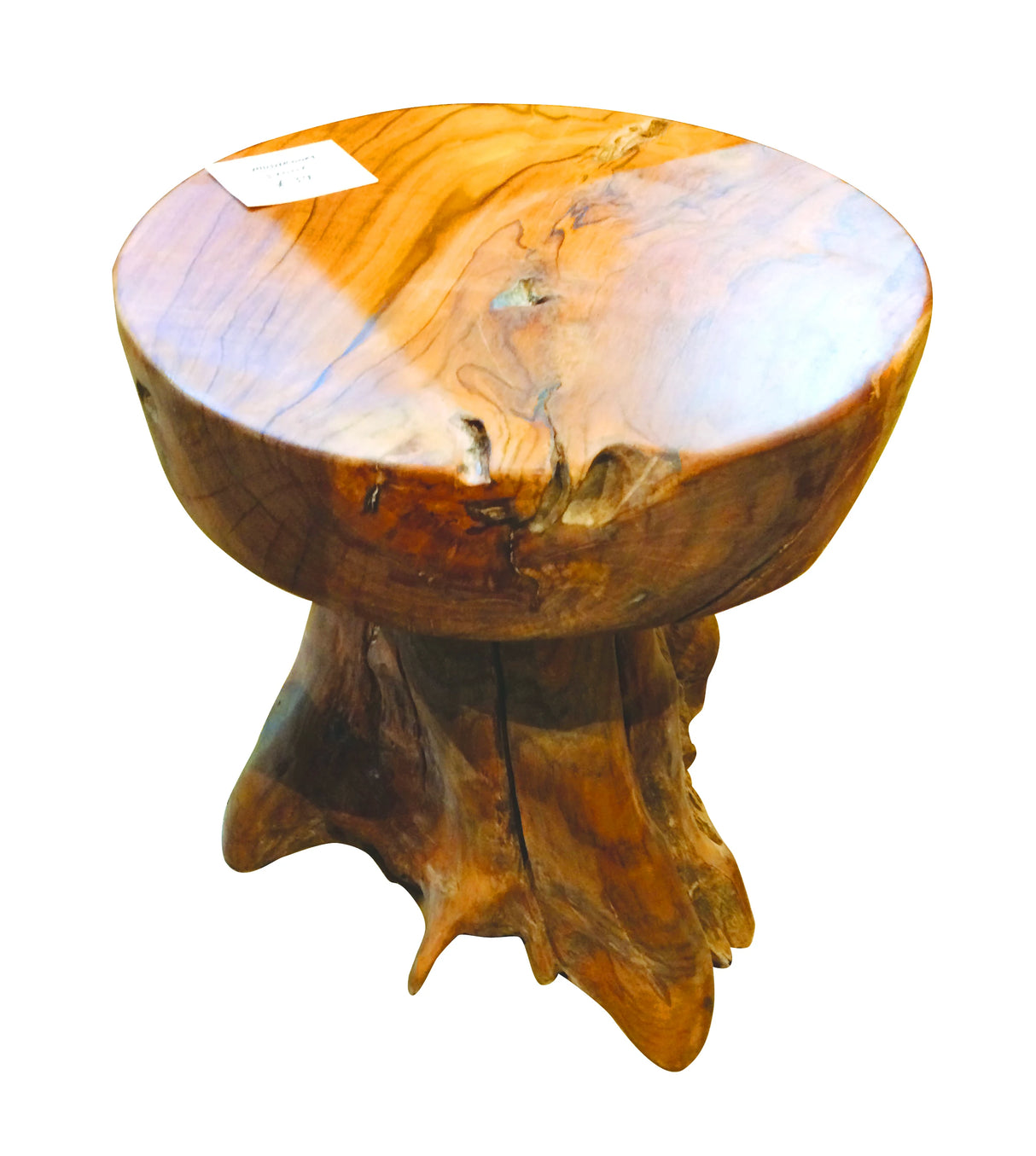 Root Mushroom Lamp Table