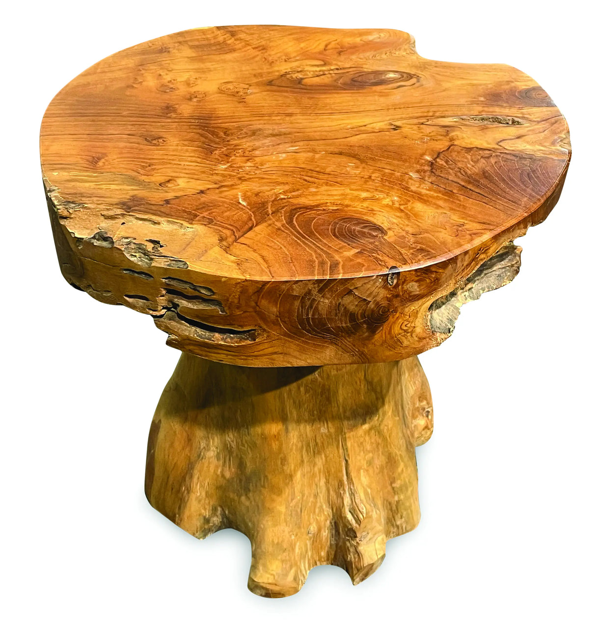 Root Mushroom Lamp Table