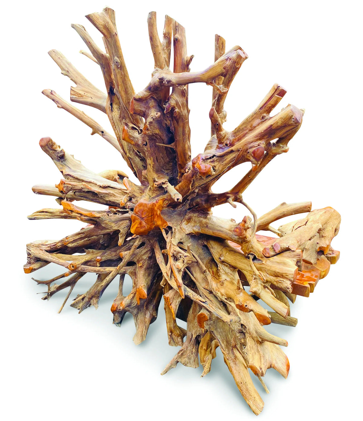 Root King Bench