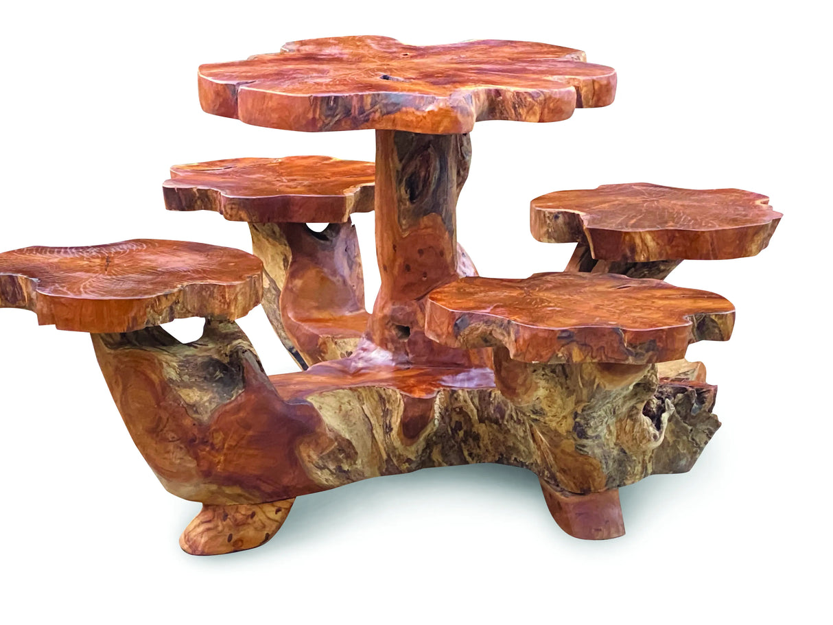 Root Dining table set