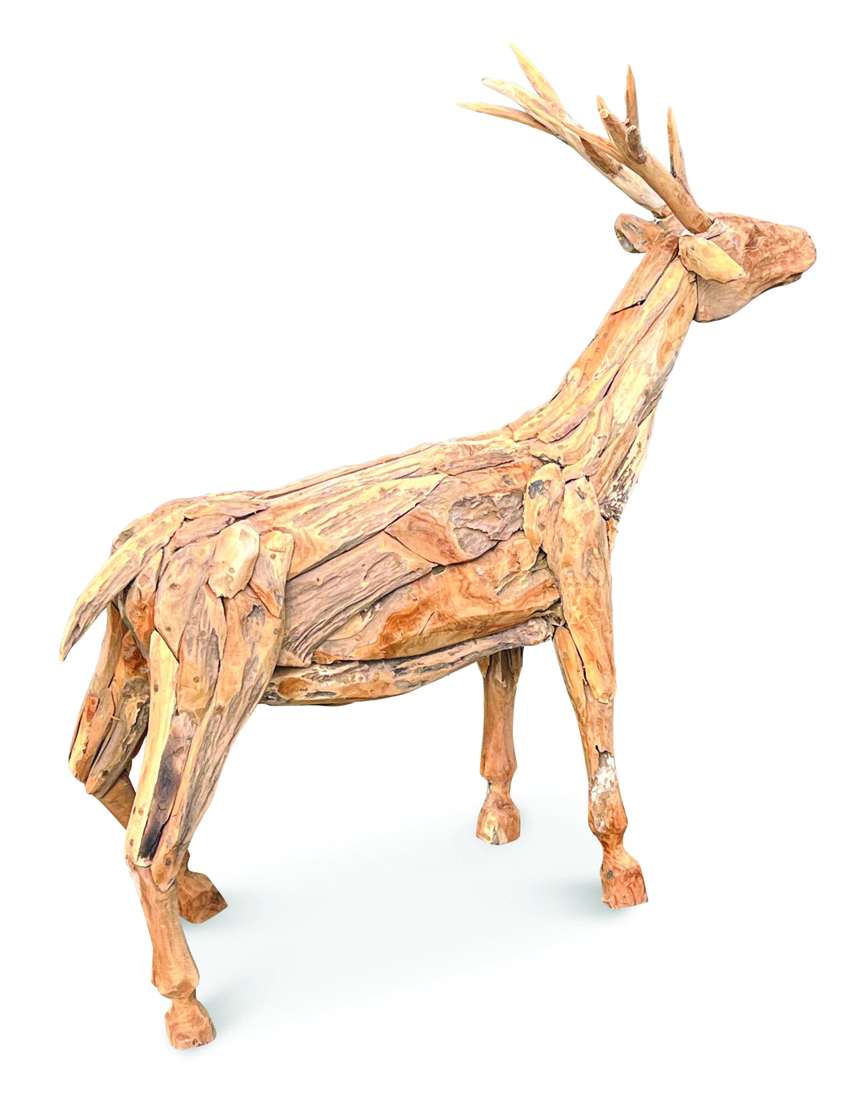 Root Small Stag/Reindeer