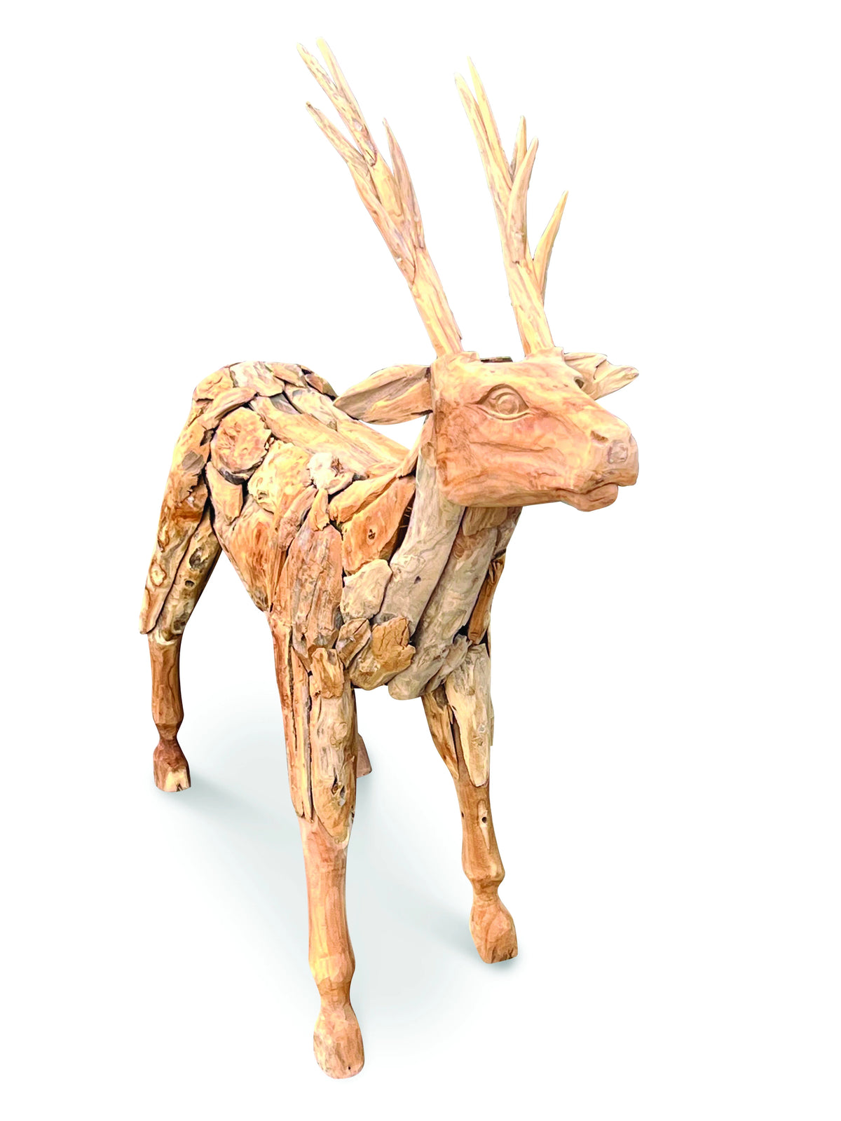 Root Small Stag/Reindeer