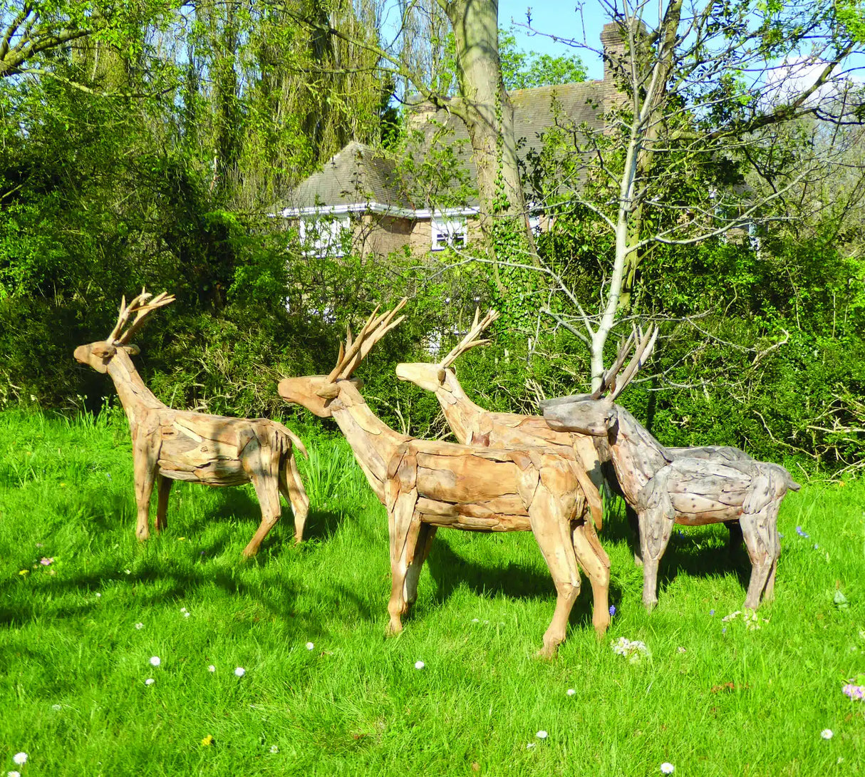 Root Small Stag/Reindeer
