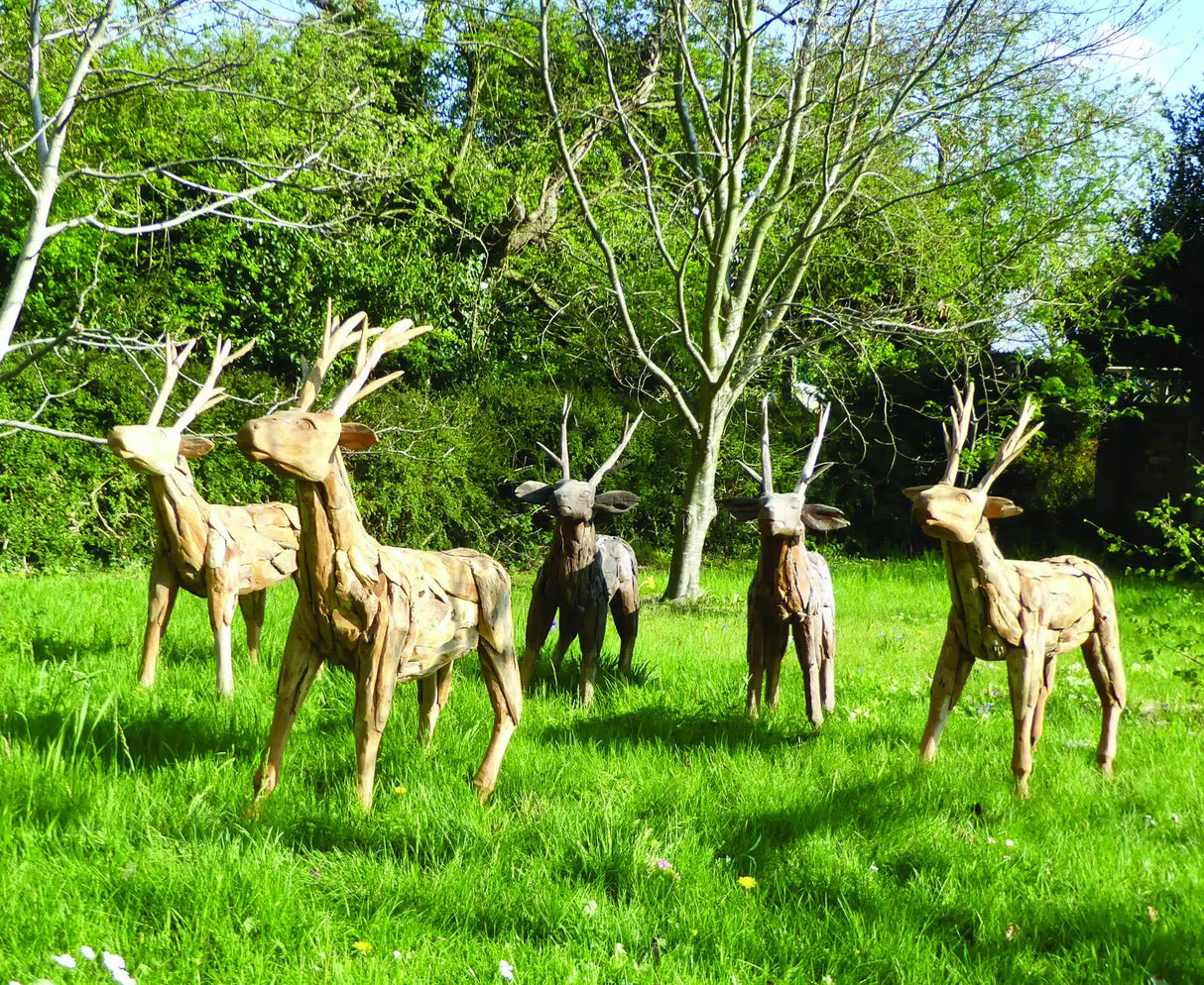 Root Small Stag/Reindeer