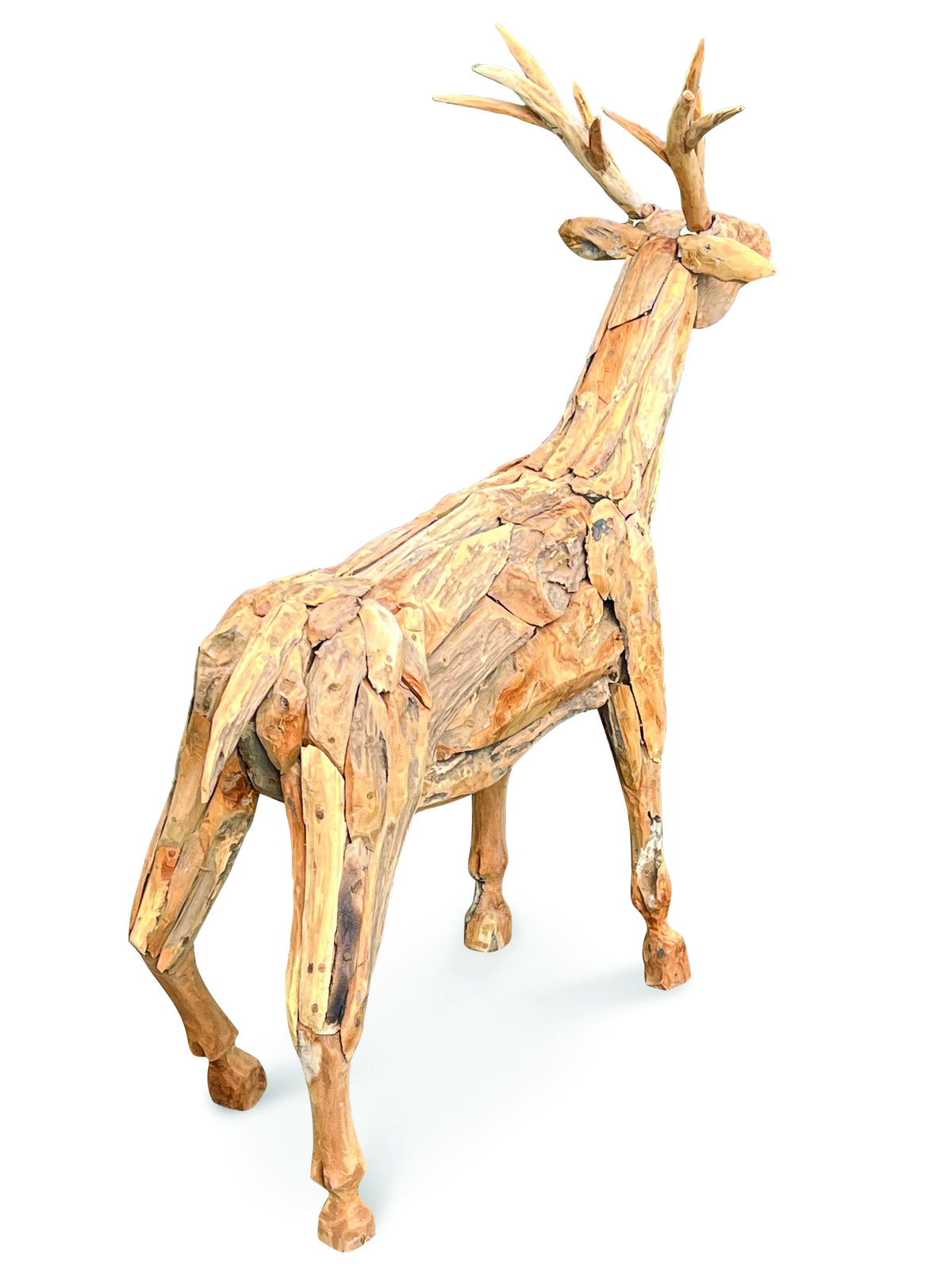 Root Small Stag/Reindeer