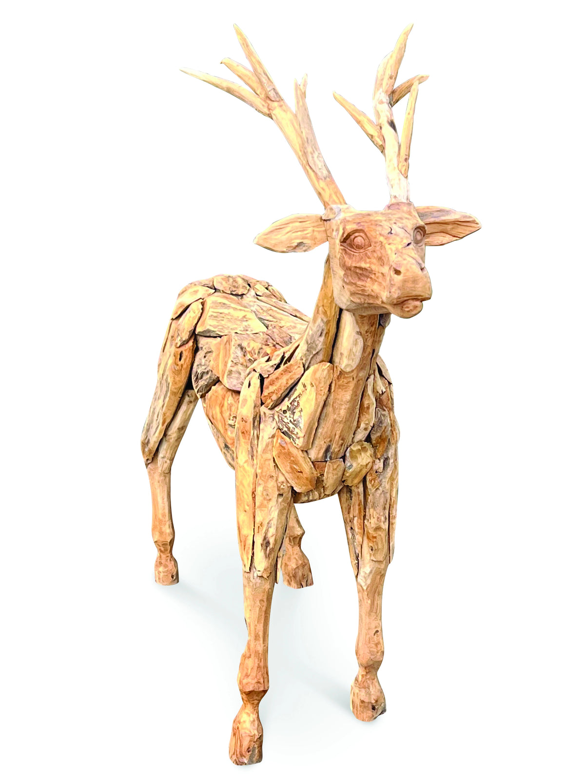Root Small Stag/Reindeer