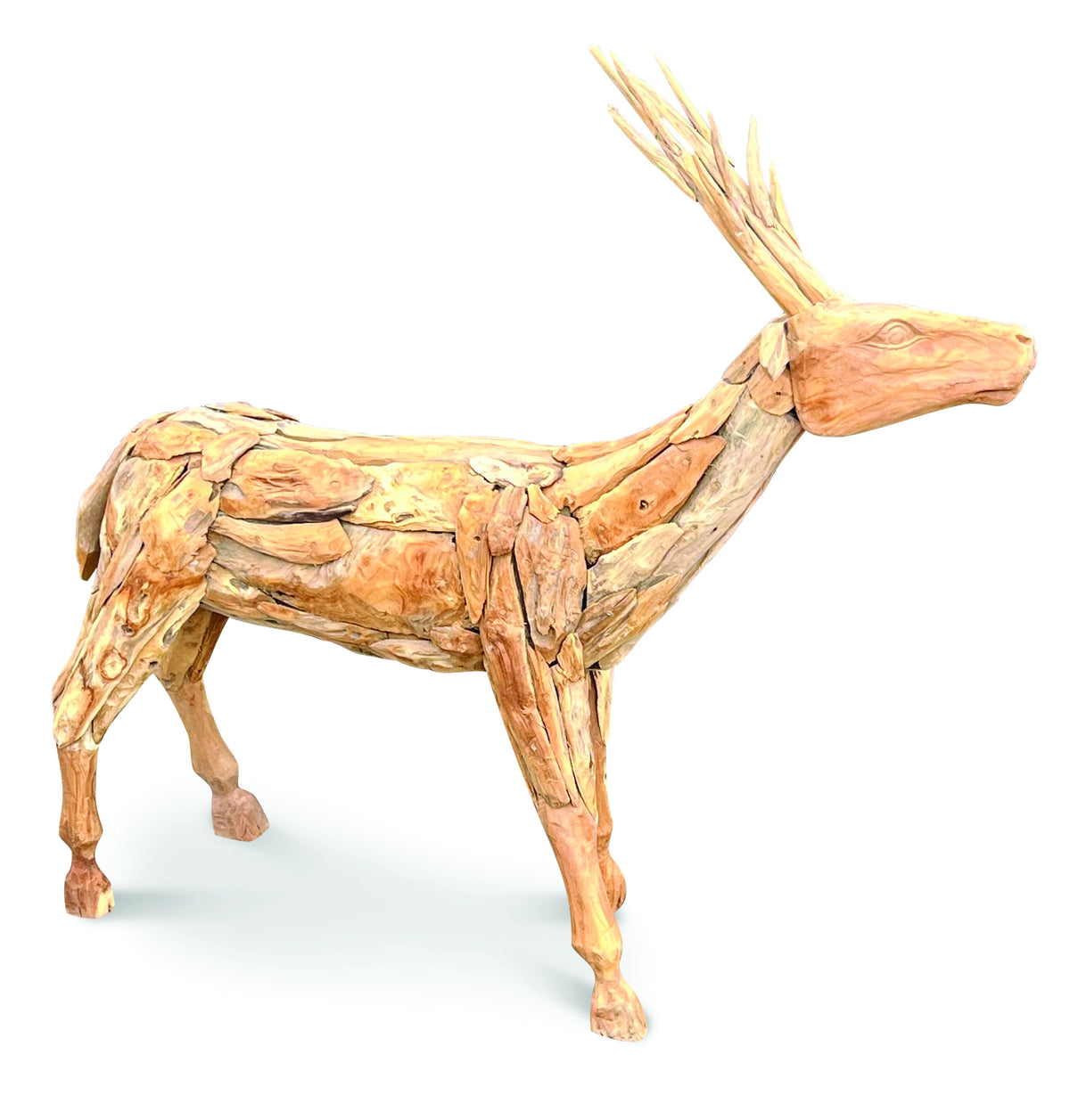 Root Small Stag/Reindeer