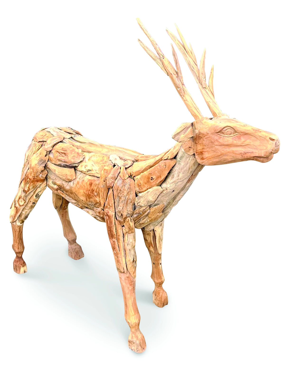 Root Small Stag/Reindeer