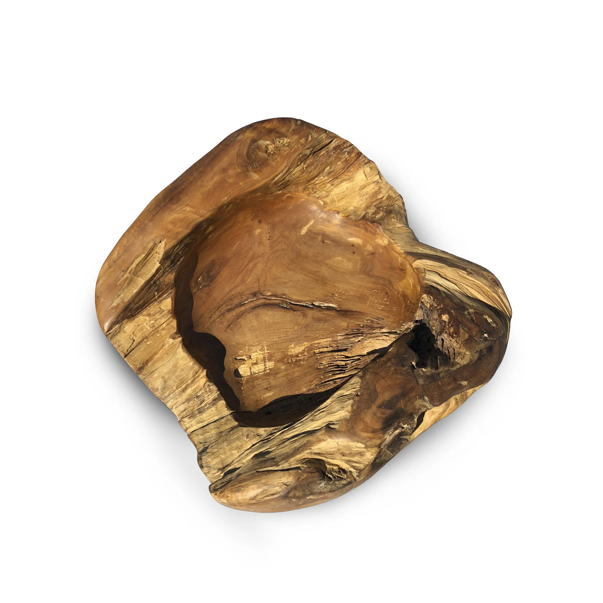 root bowl large