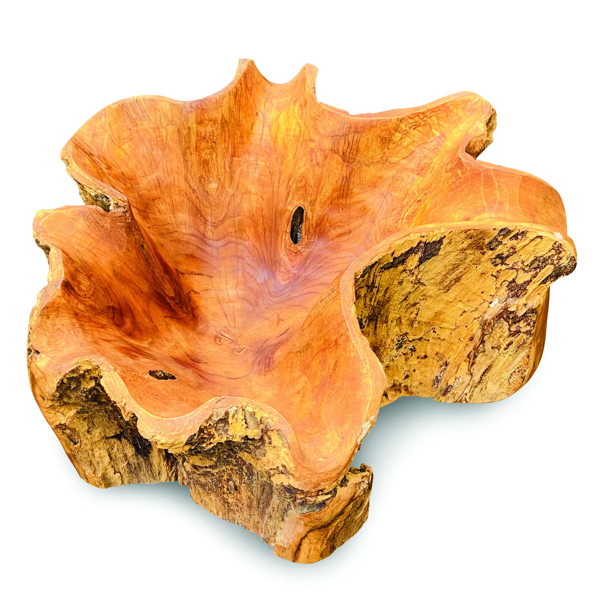 Root Natural Planter/Bowl Large