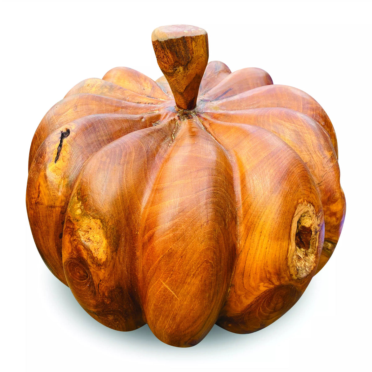 Root Giant Pumpkin