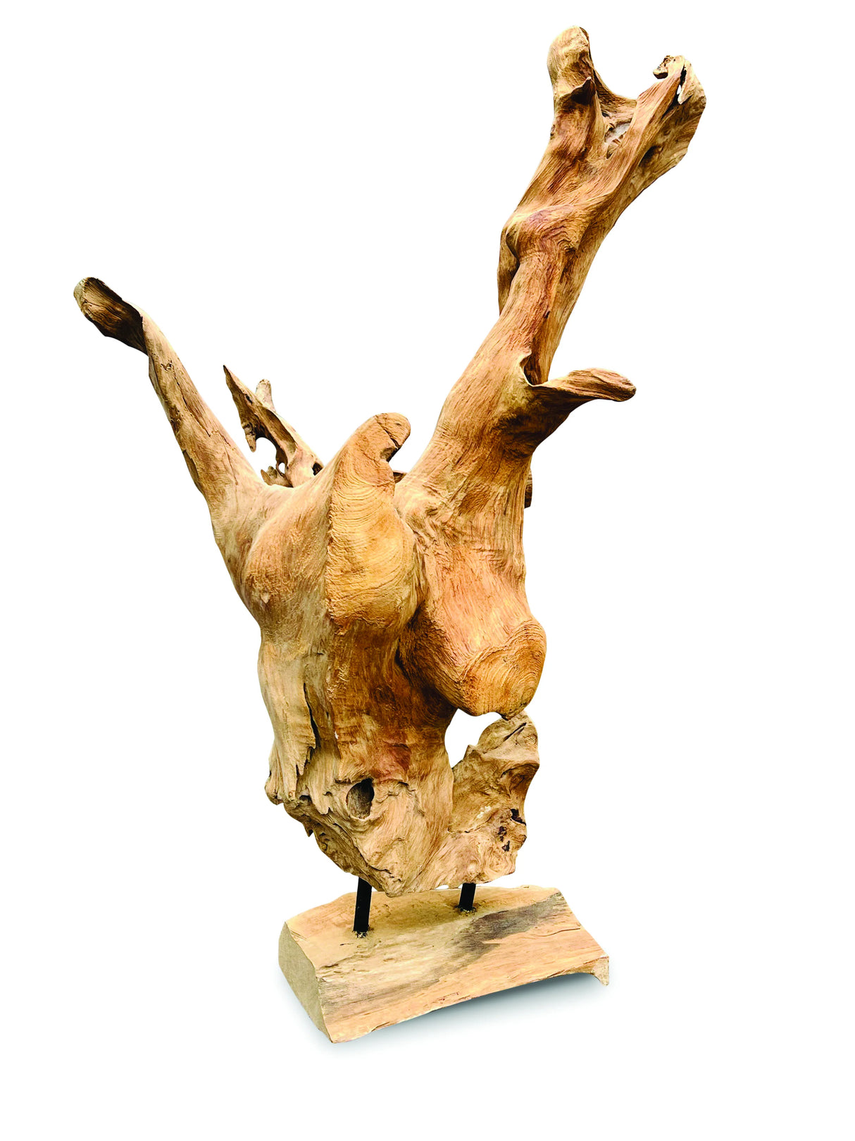 Root Forest Sculpture Mini 60cm (New Style + Bigger)