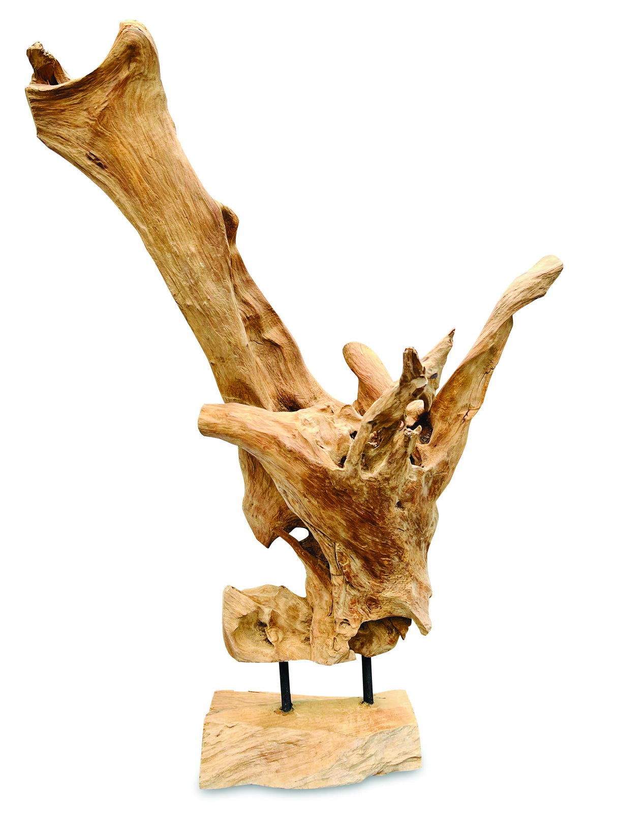 Root Forest Sculpture Mini 60cm (New Style + Bigger)
