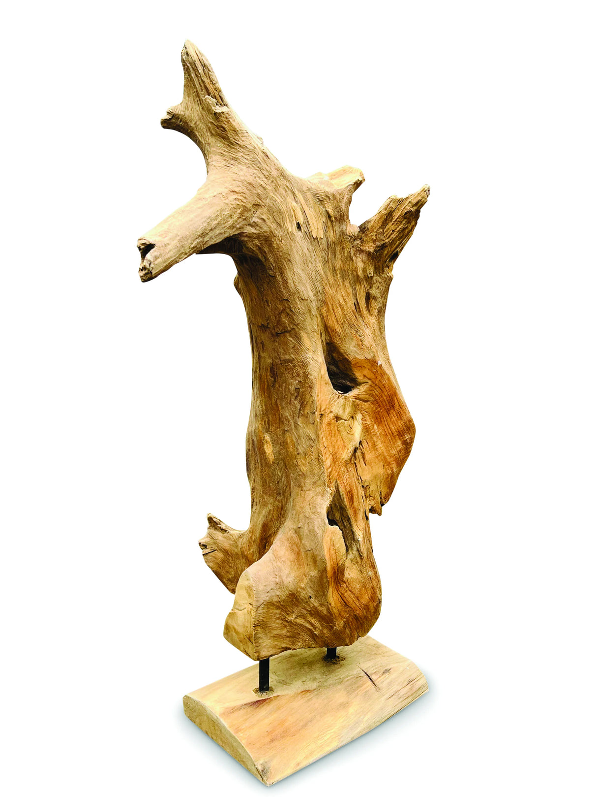 Root Forest Sculpture Mini 60cm (New Style + Bigger)
