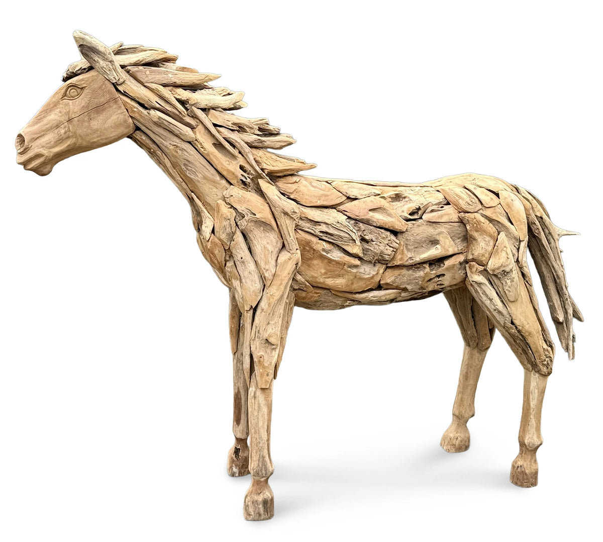 forest horse