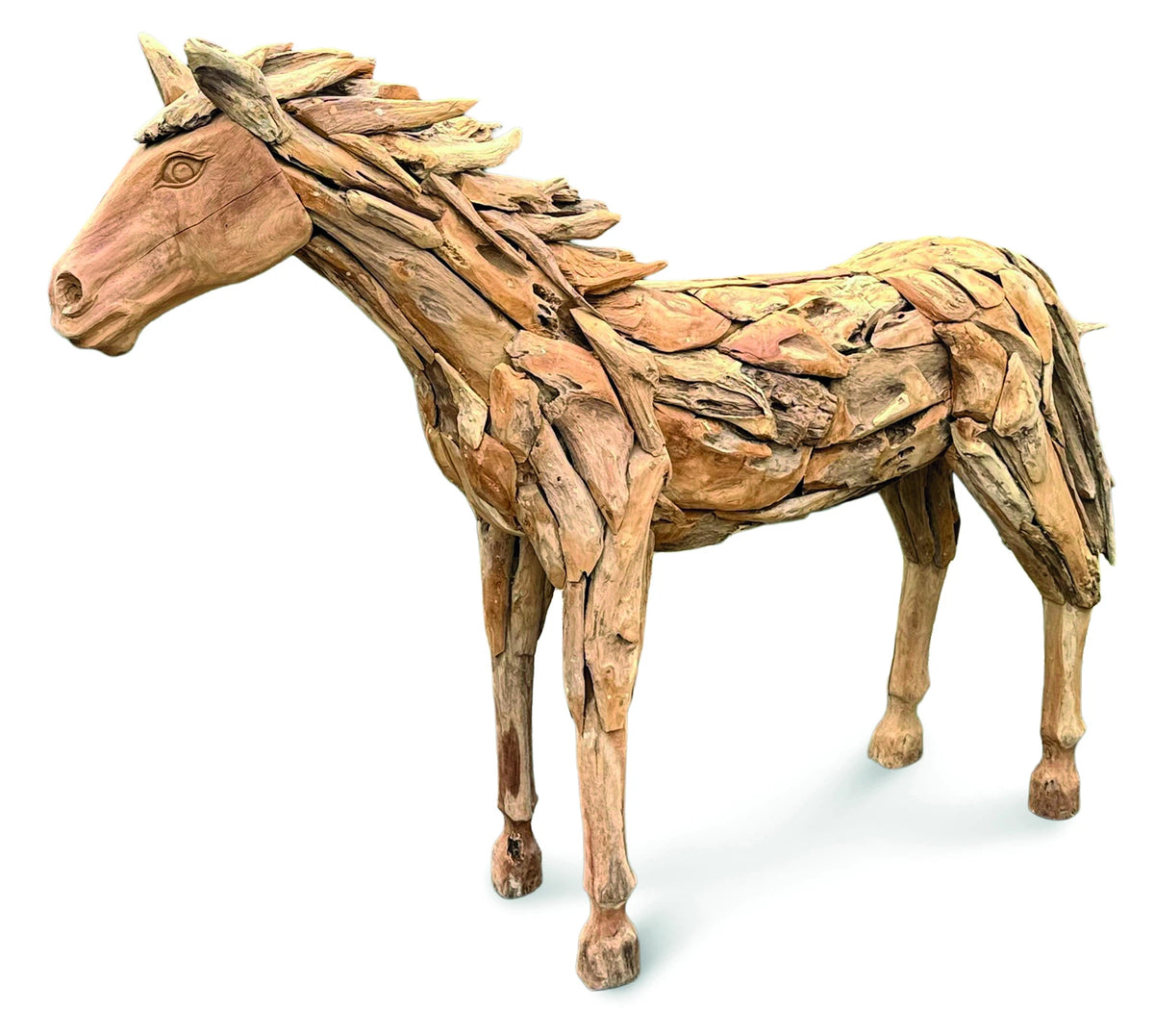 forest horse