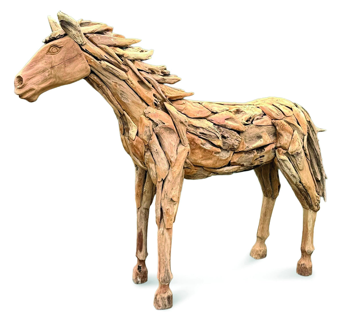 forest horse