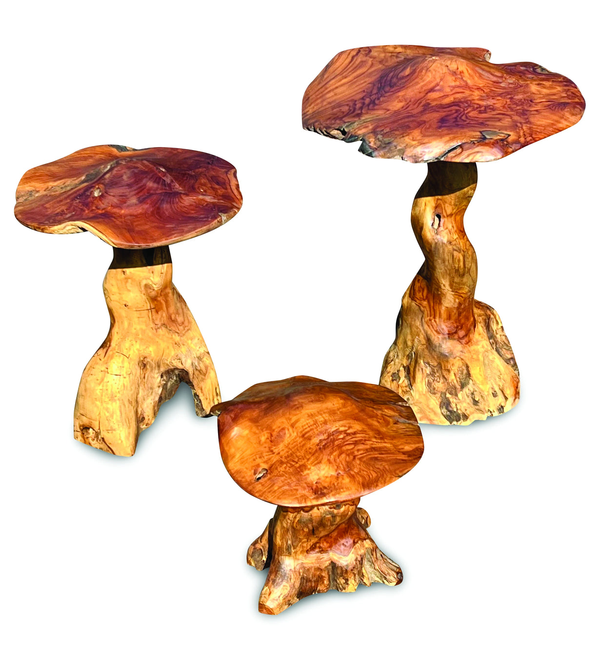Teak Root Giant Wild Toadstools Set Of 3