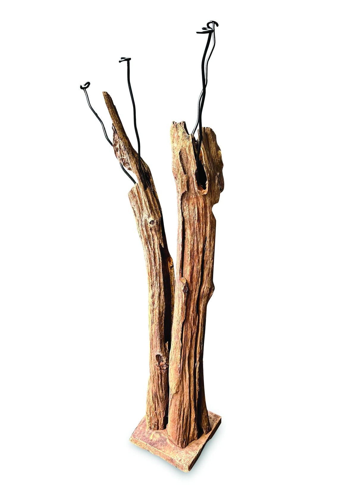Driftwood Double Sculpture Coat Stand