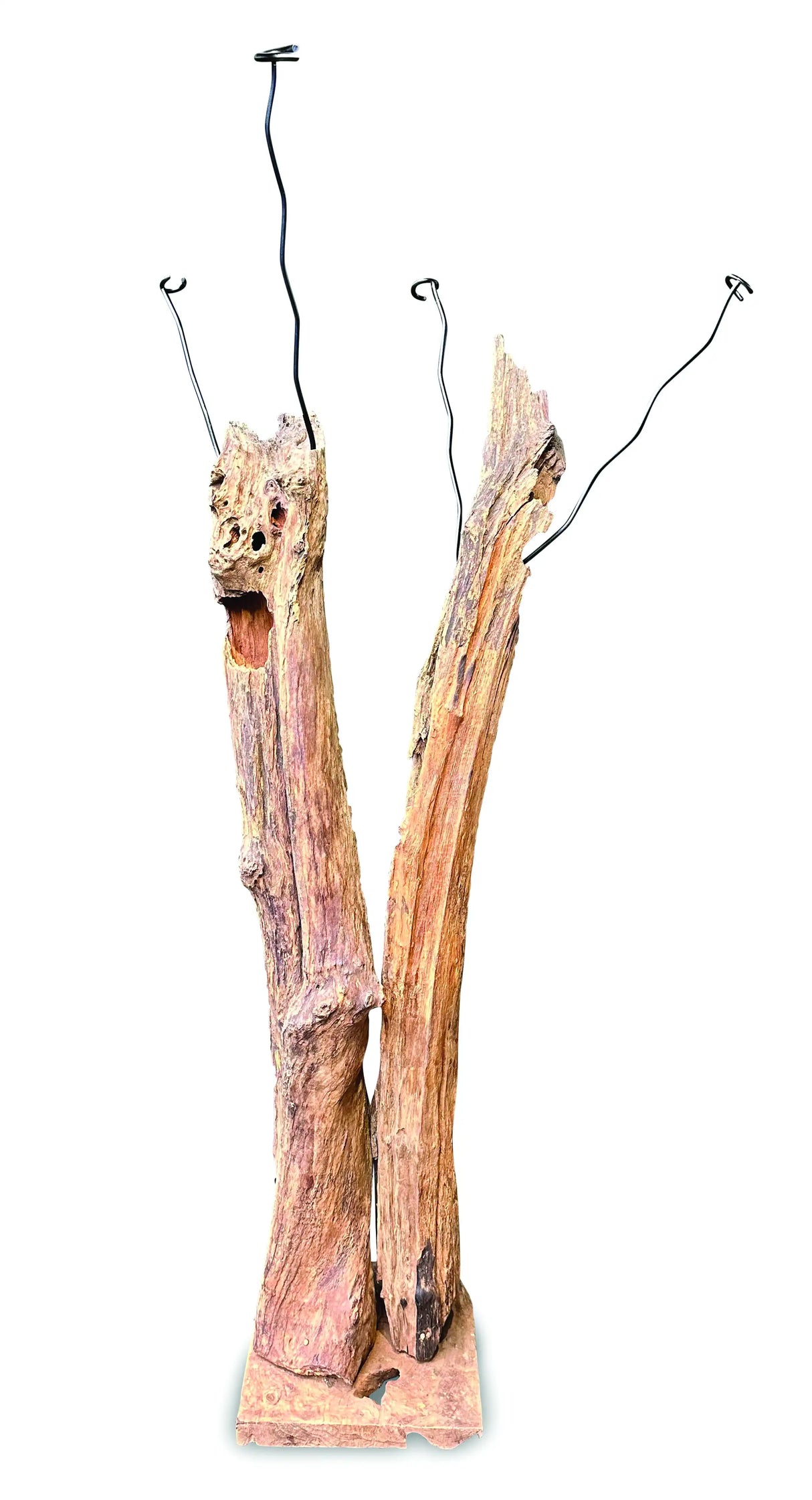 Driftwood Double Sculpture Coat Stand