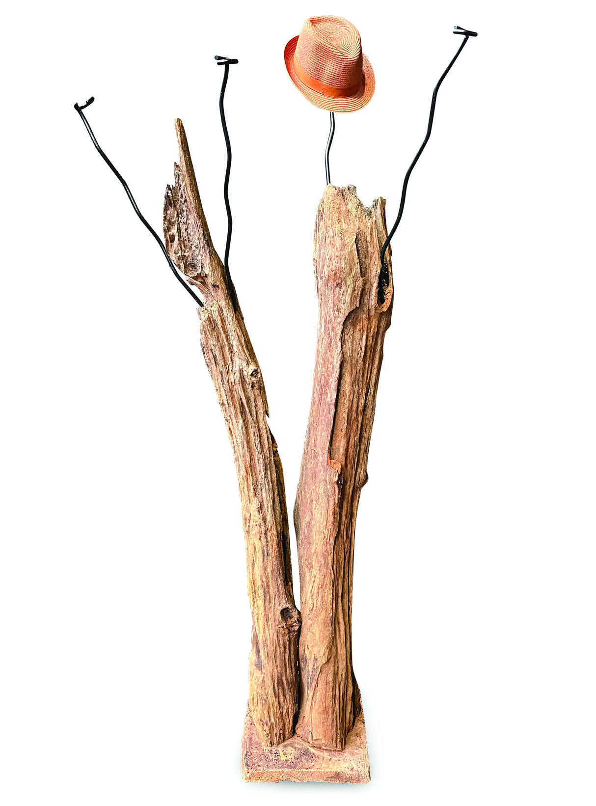 Driftwood Double Sculpture Coat Stand